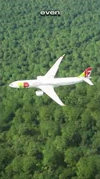Plane tries takeoff from world's steepest runway and things get out of control - Flight Simulator