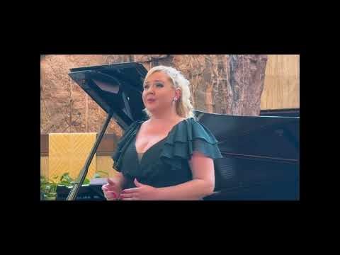 Vain pieni kansanlaulu - Sanna Matinniemi