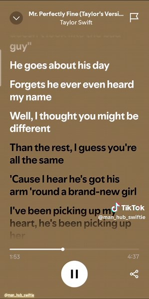I'm back! | Mr. Perfectly Fine full song| Spotify lyrics full song video💛 #taylorswift #taylornation #taylorsversion #mrperfectlyfine #fromthevault #lyrics #fullsong #fearlesstaylorsversion #spotifylyrics #winter #january2025 #xyzbca #swiftie #swifttok #fyppppppppppppppppppppppp #fypシviral #viral #fyp2025 #foryoupage #foryou #fyp #trending @Taylor Swift @Taylor Nation