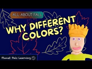 🍂 Why Different Fall Colors? | All About Autumn Colours! | Fun & Educational Video For Kids!