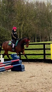We love a school inset day 🙏, lots of up downs on the 4 year old ponies for Harriet. 💕💕. We are looking forward to getting this bunch out to a show. #Fedontopspec #fouryearoldponies #showpony #hunterpony #novicepony | Craig Elenor Equestrian