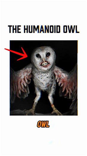 The Humanoid Owl | Urban Legend