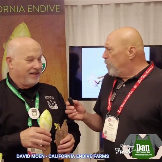 Endive or On-Deev? Discover This Crunchy Chicory!