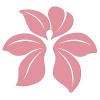 Hospital Affiliation - Gynecology and Obstetrics of DeKalb | OBGYN Physicians