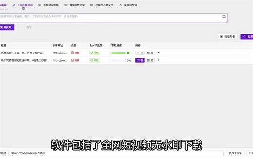 识别视频中的文字,有没有复制链接，即可提取视频字幕文案的软件,有没有什么能够提取视频字幕的软件