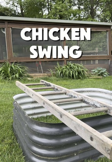 Repurposing an Old Ladder into a Chicken Swing