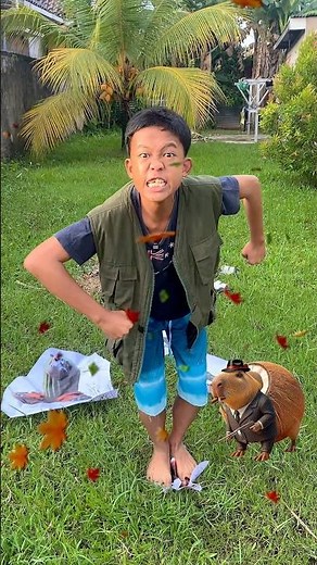 SINGING BRAZIL ITALIAN BRAINROT SONGS #anomaly #sigmarulesigma #brainrotsong