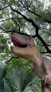 5.8K views · 120 reactions | Dive into the holiday weekend with a Zoo visit. We’re open regular hours from 9am to 5pm all weekend. Plan your next outing: bit.ly/44mcmZ2 | Houston Zoo | Facebook