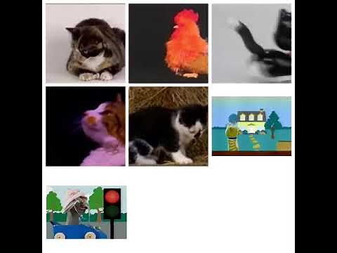 Baby Einstein Cat