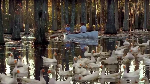 The Notebook Movie Clips: Noah and Allie's Love Story