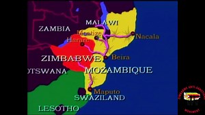 2.9K views · 66 reactions | ZIM SOUTH AFRICAN BORDER WARS. We often...