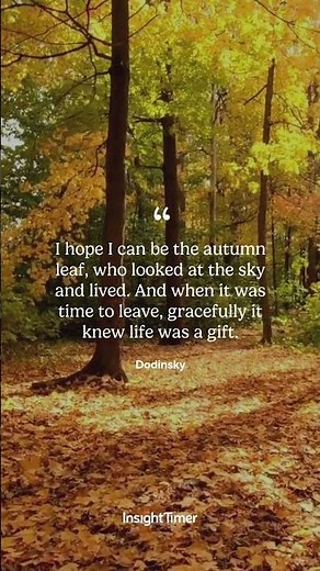 Autumn Quote by Dodinsky | Meditation & Mindfulness | Insight Timer