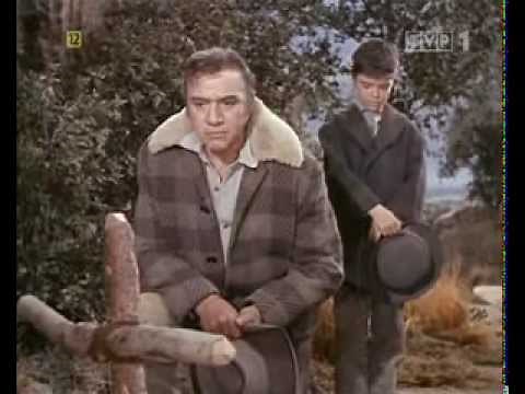 Bonanza 142 PL (s5e8)