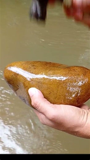 Exquisite Natural Plume Agate Stone – Rare Feather Crystal Pattern with Stunning White & Fire orange