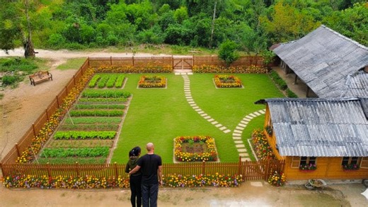 The Hedge Revival Process: From Storm-Flattered Dilapidated Fence to Gorgeous Garden | MT Network