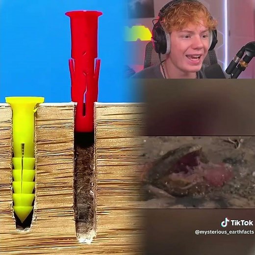 Creatures That You’re Glad Are Extinct...😳