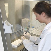 Video: Simultaneous Quantification of Anti-vector and Anti-transgene-Specific CD8+ T Cells Via MHC I Tetramer Staining After Vaccination with a Viral Vector