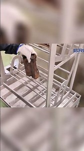 See How Ultrasonics Clean Metal Parts Fast! #shorts