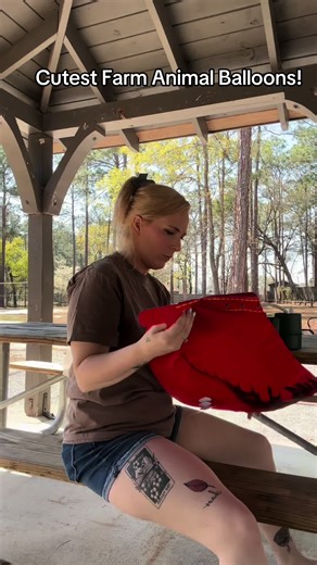 My son had a farm style birthday party and these animals were literally the cutest!! #mama #springtime #farmparty #balloonanimals #millennialsoftiktok