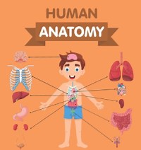 Anatomy of body parts