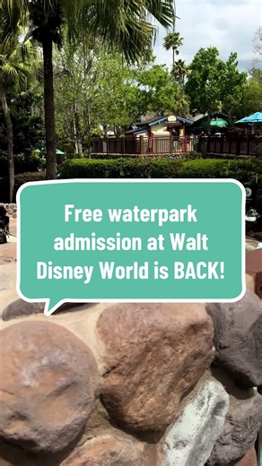 Free water park admission is back at Walt Disney World, and getting there is not as simple as hopping on a bus. Here is exactly how to get to Typhoon Lagoon and Blizzard Beach without the confusion, plus the one thing you need to know before you even leave your resort. #disneywaterpark #typhoonlagoon #blizzardbeach #disneyworldtips #disneytrip