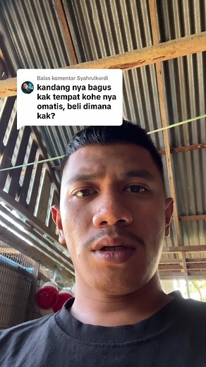 Cara Mudah Ternak Puyuh dengan Kandang Otomatis