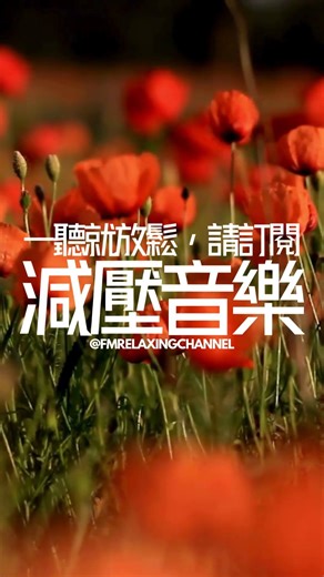 【PEACEFUL PIANO BGM】如果您需要減壓和放鬆的音樂，請訂閱我的頻道！這裡有精選的柔和旋律，專為舒緩身心和減少焦慮而創作。讓我們一起踏上這段減壓旅程，享受平靜與安寧 #放鬆音樂