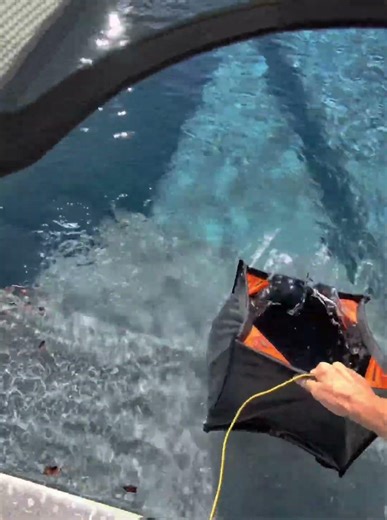 #TreeWork #TreeService #Arborist #TreeRemoval #TreeCare #TreeTrimming #StumpRemoval