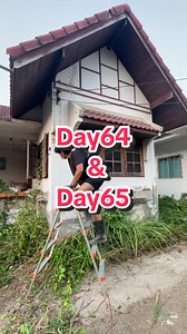 วันที่64-65 จุดอ่อนแพ้ความสูง / ต้นไม้แทรกบรรได#ฉัตรชอบอยู่บ้าน #เลิกงานแล้ว #บ้านฉัน #บ้านสวน #บันไดอลูมิเนียม