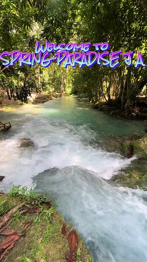 Explore Spring Paradise River in Ocho Rios