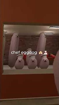 Chef Eggdog