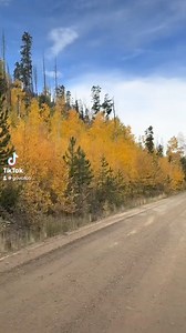 Colorado Fall Colors Love Club Membership ☑️ #colorado #fall #fallcolors #leafpeeping | Governor Jared Polis