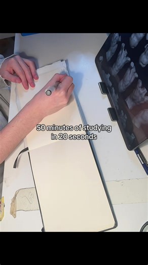 Optimizing Your Art Study Approach