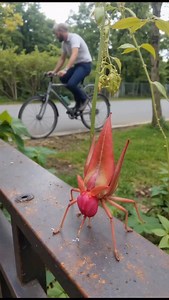 458 reactions · 41 shares |  | El PODER DEL AHORA - Carlota Eckhart | Facebook