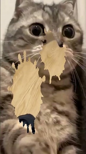 😹👽 Look at These Comedy Cats Jumping Like Aliens — Weird, Wild, and Hilariously Funny! 😂 #FunnyCats