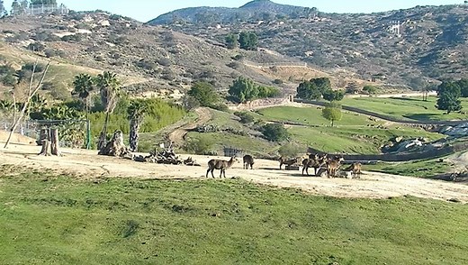 10 of the Most Interesting and Entertaining Live Cameras You Can Watch Right Now | Fstoppers