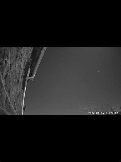 A couple of shooting stars i caught last night | #shootingstars #meteor #space #astronomy #stargazing