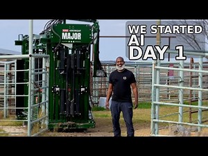 Starting AI at Pride Ranch: CIDRs In (Day 1)