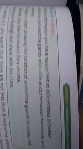 Differentiate between endocrine and exocrine glands, including ... | Filo