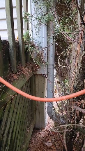 How many code violations did you see? | Rsquaredelectric