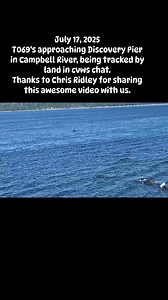 Comox Valley Wildlife Sightings on Reels