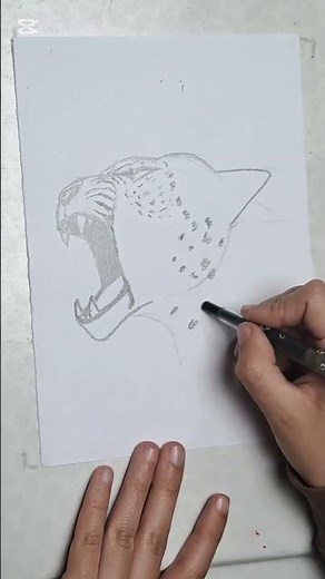 Snow Leopard (Mountain Tiger) Drawing | Easy Step by Step Tutorial