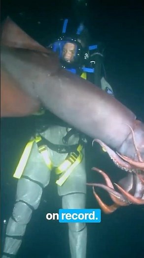 Squid Dragged Him Into the Abyss #deepseahorror #shorts #terrifying