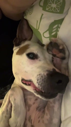 What do you mean my post only has 12 views? I’ve watched it like 30 times