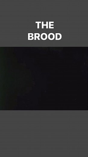 On May 25, 1979 “The Brood” was released in theaters in the United States! Written and directed by David Cronenberg and starring Oliver Reed, Samantha Eggar, and Art Hindle. Its plot follows a man and his mentally ill ex-wife, who has been sequestered by a psychiatrist known for his controversial therapy techniques. A series of brutal unsolved murders serves as the backdrop for the central narrative. | On This Day In Horror