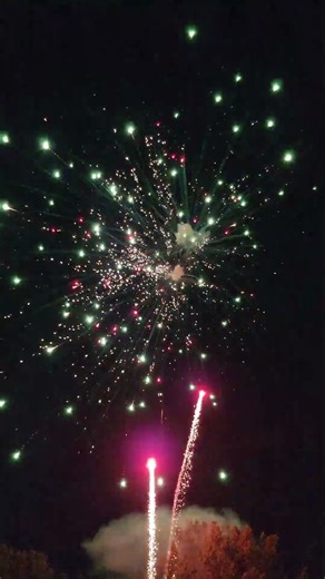 H.C.M.F. 7" CANISTER SHELL FIREWORK NEW 2024 (HITTER!)