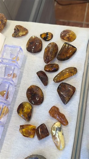 So many different types of Amber to choose from at yoUnique Stone! We have much more than you can see here perfect for designing and collecting. #yoUniqueStone #ambercollection #sanjosedelcabo #rawstonejewelry #oneofakindjewelrydesigns