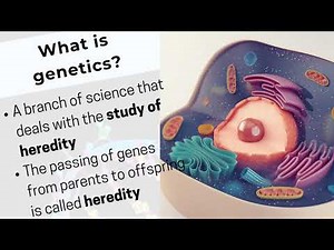 Introduction to Genetics