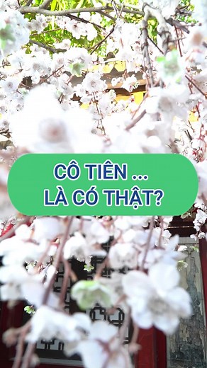 Bà tiên có thật không nhỉ? #fujiwa #fujiwavietnam #TikTokGiaiTri #nuockiem #PEPSIRAVOLUTION #healthy #balance