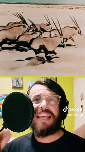 Sekysetsu on TikTok